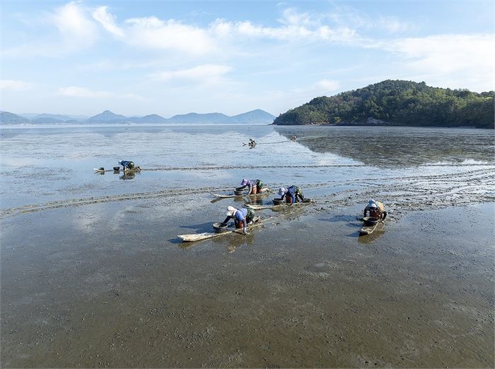 서산·무안·고흥·여수 갯벌, 세계유산 등재 성큼…심사 본격화
