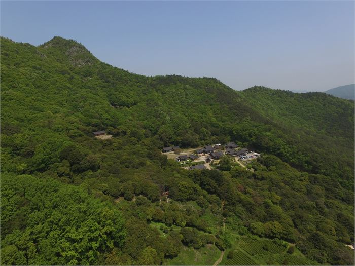 동백꽃으로 물드는 강진 대표 명소…만덕산 일대, 명승 된다