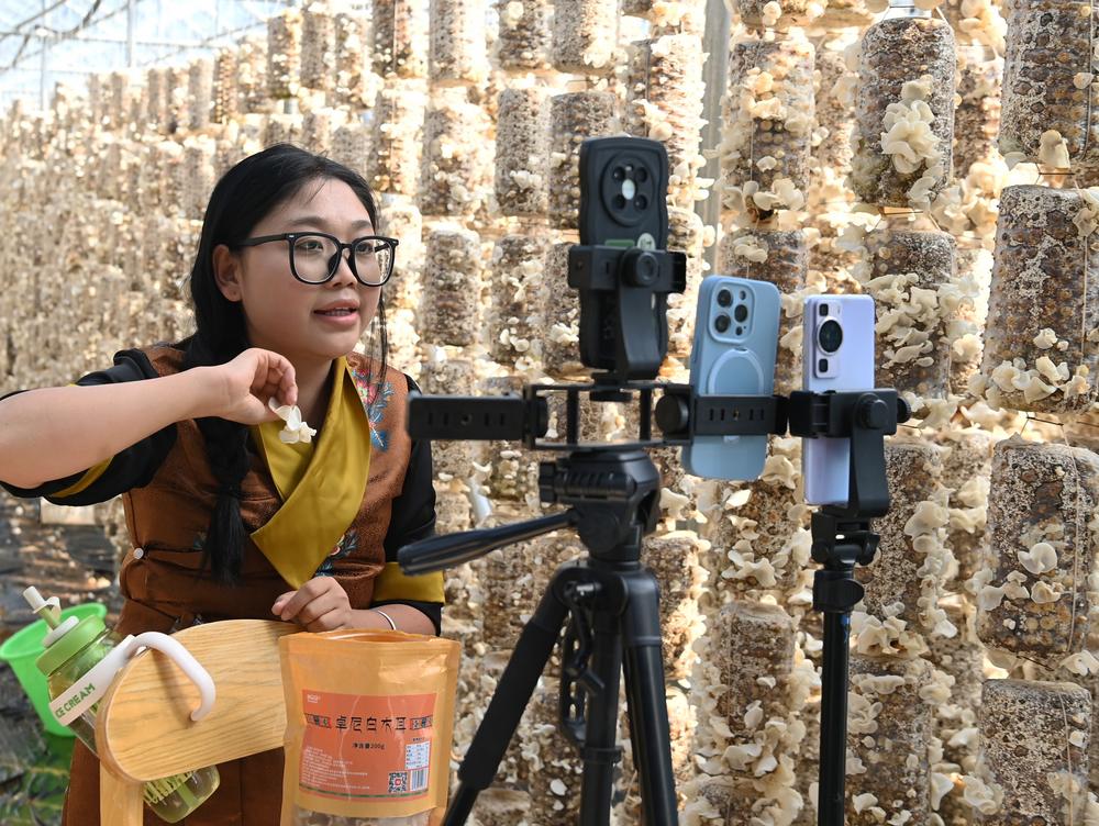라이브커머스로 전해지는 진한 버섯 향기
