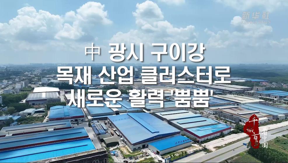 中 광시 구이강, 목재 산업 클러스터로 새로운 활력 '뿜뿜'