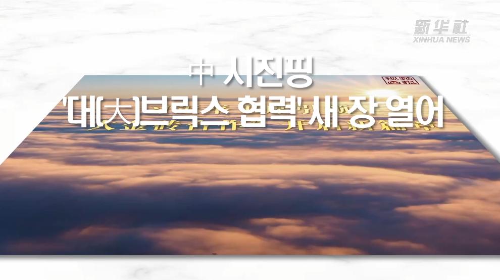 中 시진핑, '대(大)브릭스 협력' 새 장 열어